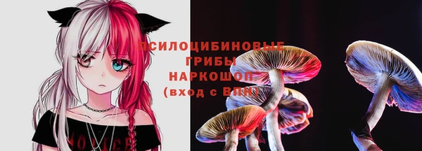 амфетамин Алексин