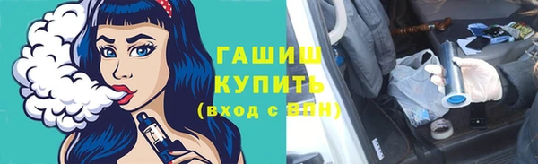 крисы Кулебаки