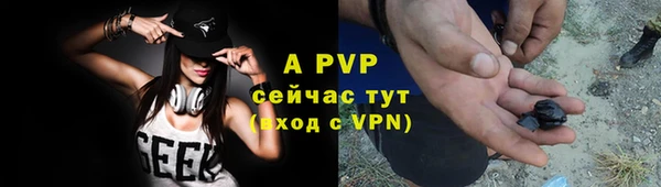 крисы Кулебаки