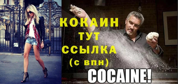 крисы Кулебаки