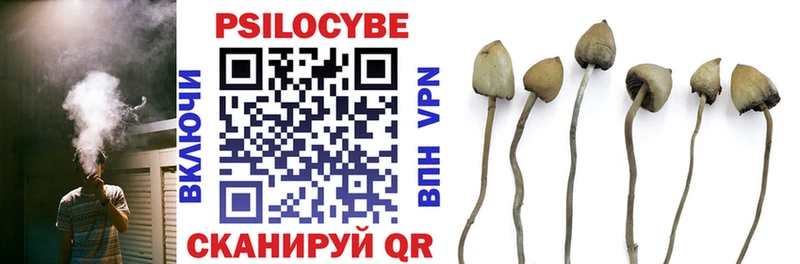 Псилоцибиновые грибы мицелий  hydra ONION  Хвалынск 